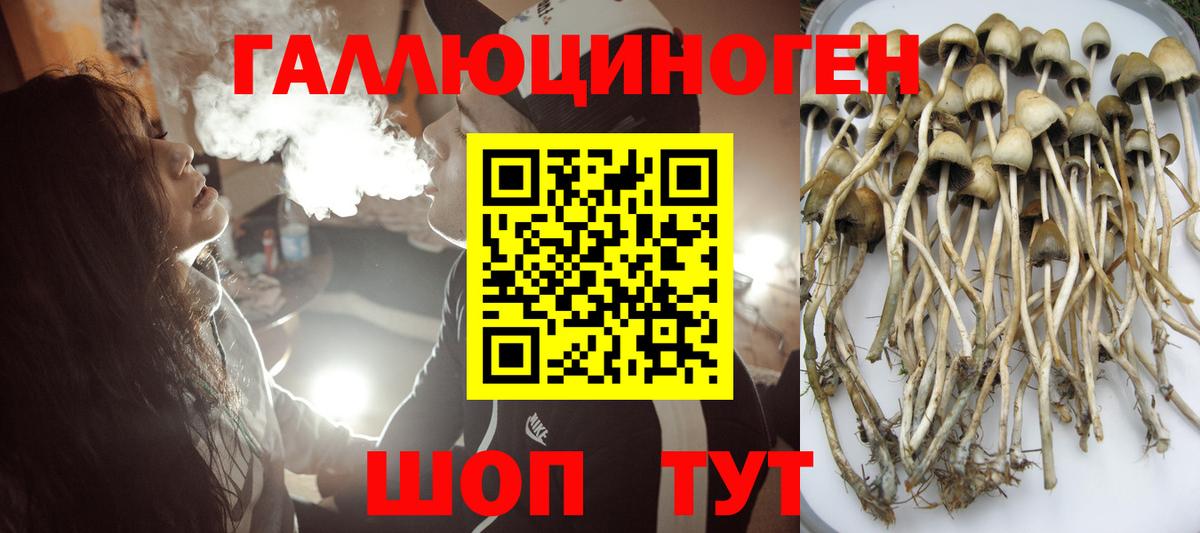 Галлюциногенные грибы Magic Shrooms Каспийск